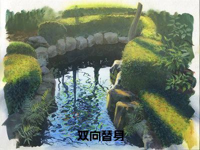 双向替身（漫漫江屿笙）小说全文无删减版_双向替身最新章节列表_笔趣阁（漫漫江屿笙）