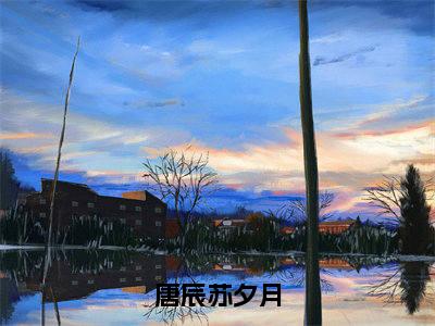 唐辰苏夕月（唐辰苏夕月）全文免费阅读无弹窗大结局_（唐辰苏夕月免费阅读全文大结局）最新章节列表