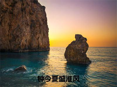 钟今夏盛淮风全文免费阅读无弹窗大结局_（盛淮风钟今夏）钟今夏盛淮风在线阅读无弹窗