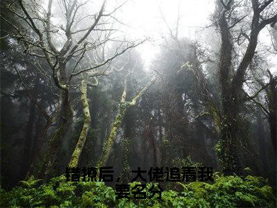 错撩后，大佬追着我要名分（顾今墨夏樱诺）全文免费阅读_错撩后，大佬追着我要名分言诺诺，井傅宸小说最新章节列表笔趣阁