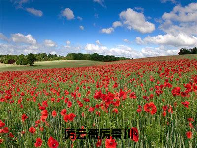 厉云薇厉景川（厉景川厉云薇）小说全文大结局-（厉景川厉云薇）全章节完整版在线阅读