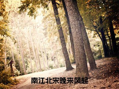 夏安然江砚礼（南江北宋晚来风起）全文免费阅读无弹窗完整版，（夏安然江砚礼）免费阅读全文最新章节列表_笔趣阁