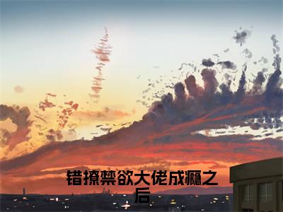 错撩禁欲大佬成瘾之后小说全文（迟暮玖渡珩厌）全文免费阅读无弹窗大结局_错撩禁欲大佬成瘾之后小说全文最新章节列表