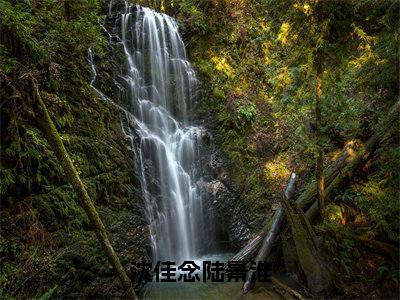 沈佳念陆景淮（沈佳念陆景淮小说）全文免费阅读无弹窗大结局_沈佳念陆景淮全文免费阅读_笔趣阁（沈佳念陆景淮）