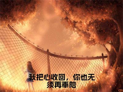 我把心收回，你也无须再奉陪（林轻轻傅行舟）全文完整版免费阅读-主角叫林轻轻傅行舟的小说我把心收回，你也无须再奉陪