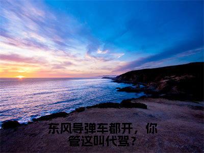 小说《东风导弹车都开，你管这叫代驾？》全文免费阅读无弹窗-云霄小说全文在线赏析