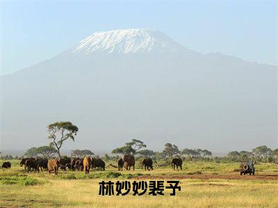 林妙妙裴予好看的小说林妙妙裴予在线阅读-林妙妙裴予是什么小说《林妙妙裴予》