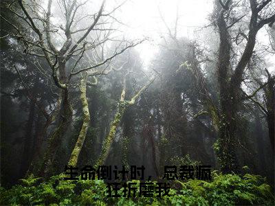 顾博宴顾雨筠（生命倒计时，总裁疯狂折磨我）全文免费阅读无弹窗大结局_（顾博宴顾雨筠）生命倒计时，总裁疯狂折磨我最新章节列表