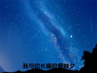 陆天野林夕是什么小说-（我与你长痛短爱林夕全文阅读）最新章节列表