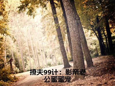 撩夫99计：影帝老公蜜蜜宠（修景南阮锦宁）全文小说-修景南阮锦宁小说最新章节免费阅读