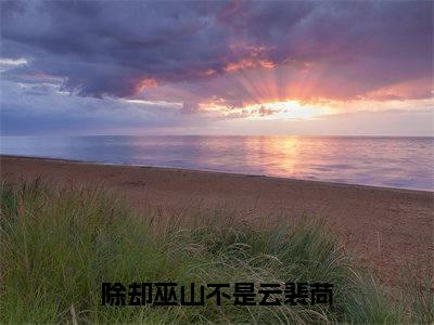 裴苘（除却巫山不是云裴苘）小说最后结局-（除却巫山不是云裴苘）完结版免费阅读