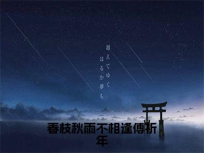 春枝秋雨不相逢傅祈年在线阅读（宋意欢傅祈年）全文免费阅读大结局_春枝秋雨不相逢傅祈年免费最新章节列表_笔趣阁