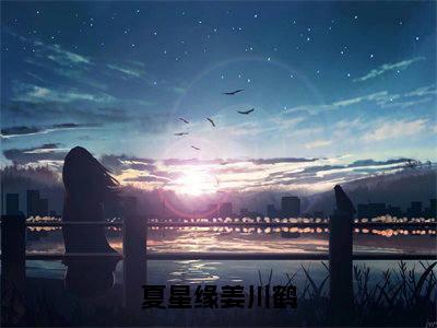 夏星缘姜川鹤（夏星缘姜川鹤）小说全文免费阅读完整版-夏星缘姜川鹤免费在线阅读大结局（夏星缘姜川鹤）