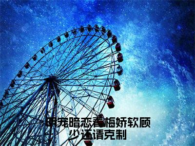 顾淮琛时笙全文免费阅读无弹窗大结局_（明宠暗恋青梅娇软顾少还请克制小说）顾淮琛时笙最新章节列表笔趣阁（明宠暗恋青梅娇软顾少还请克制）