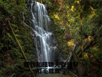 糟我和植物人老公穿成毛茸茸了在线阅读（段乘鸢）全文免费阅读大结局_糟我和植物人老公穿成毛茸茸了免费最新章节列表_笔趣阁