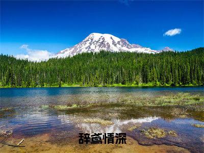 辞鸢情深是什么小说，辞鸢情深（阮鸢季柯）完整章节在线阅读