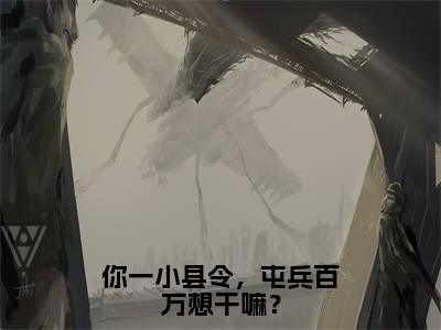 江元（你一小县令，屯兵百万想干嘛？）最新免费小说（江元）全文大结局-你一小县令，屯兵百万想干嘛？今日已更新最新章节