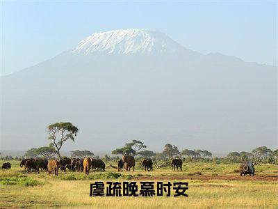 虞疏晚慕时安全本资源（虞疏晚慕时安）全文免费阅读无弹窗大结局_虞疏晚慕时安最新章节列表（虞疏晚慕时安）