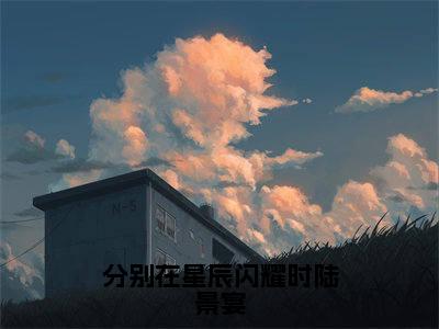 苏幕遮陆景宴（分别在星辰闪耀时陆景宴）全文免费苏幕遮陆景宴读无弹窗大结局_分别在星辰闪耀时陆景宴免费苏幕遮陆景宴读全文最新章节列表_笔趣阁