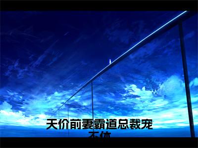 天价前妻霸道总裁宠不休（钱诗瑜冷昊焱）小说全文免费阅读_（钱诗瑜冷昊焱）小说全文无删减版在线阅读