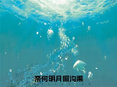 奈何明月照沟渠（林汐月）全文免费阅读无弹窗大结局_（奈何明月照沟渠）最新章节列表_笔趣阁