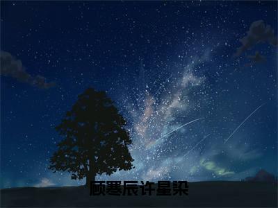 许星染顾寒辰（顾寒辰许星染）全文免费阅读无弹窗大结局_许星染顾寒辰免费阅读无弹窗最新章节列表_笔趣阁（许星染顾寒辰）