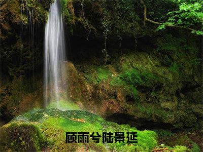 顾雨兮陆景延（顾雨兮陆景延）全文免费阅读无弹窗大结局_顾雨兮陆景延最新章节列表_笔趣阁（免费+番外）