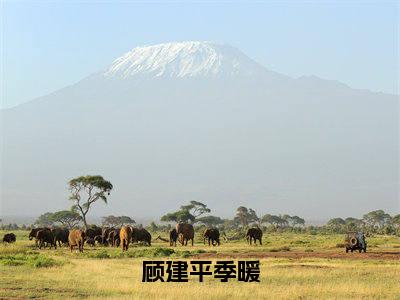 顾建平季暖（季暖顾建平）全文免费在线阅读_顾建平季暖全文阅读_笔趣阁（季暖顾建平）