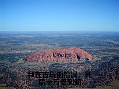 我在古玩街捡漏，开局十万倍利润全文免费阅读_（陈瀚免费阅读无弹窗）我在古玩街捡漏，开局十万倍利润高赞小说阅读