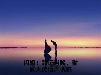 闪婚！领证当晚，财阀大佬低声诱哄（江晚陆辞年）全文免费大结局，闪婚！领证当晚，财阀大佬低声诱哄结局在线阅读