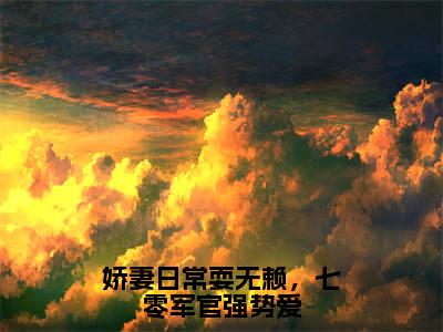 （唐宁）是什么小说-（娇妻日常耍无赖，七零军官强势爱）无弹窗免费阅读大结局最新章节列表_笔趣阁