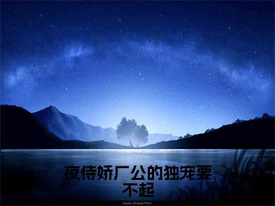 夜侍娇厂公的独宠要不起全文免费完整版-小说夜侍娇厂公的独宠要不起（苏沅陆忱）已完结全集大结局