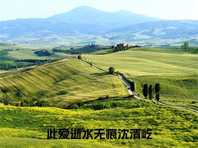 此爱逝水无痕沈清屹（顾姝沅沈清屹）完整版全文在线赏析-此爱逝水无痕沈清屹精彩美文摘抄