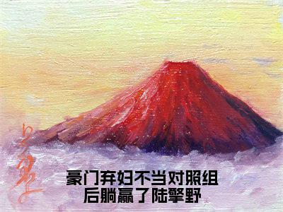 孟初沅陆擎野小说（豪门弃妇不当对照组后躺赢了陆擎野）全文免费阅读-孟初沅陆擎野精彩章节在线阅读