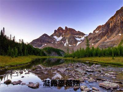 凝露蔷薇殇精彩小说（苏奕宋蔷薇）在哪免费看-小说（苏奕宋蔷薇）全文完整版免费阅读