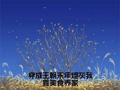 穿成王朝末年炮灰我靠美食养家小说（崔粥）小说全文无删减版在线阅读_崔粥小说最新章节列表