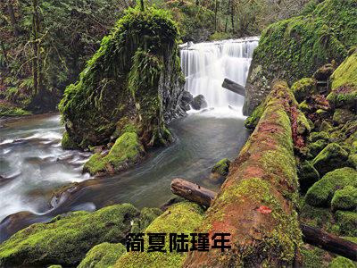 简夏陆瑾年（简夏陆瑾年）小说全文免费阅读-简夏陆瑾年（简夏陆瑾年）小说免费版最新更新阅读