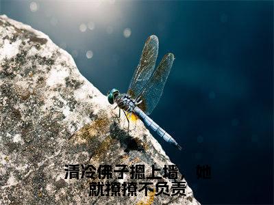 清冷佛子摁上墙，她就撩撩不负责全文免费阅读无弹窗_（江禹枫叶汐梦）全文在线阅读大结局