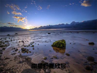 南星舒夏欣宸新书热荐免费小说夏欣宸南星舒-小说夏欣宸南星舒大结局