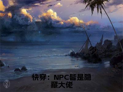 苏已（苏已）全文免费阅读无弹窗_快穿：NPC皆是隐藏大佬小说免费阅读_笔趣阁