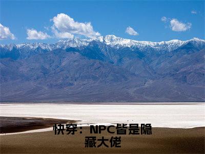 苏已小说在线阅读全文无弹窗_快穿：NPC皆是隐藏大佬小说最新全文完整无删减版