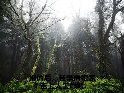 被休后，我带着娘家走上人生巅峰（叶采苹）全文免费阅读无弹窗大结局_被休后，我带着娘家走上人生巅峰最新章节列表-笔趣阁叶采苹