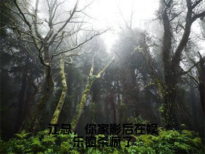 江景行李青禾（江总，你家影后在娱乐圈杀疯了）全文免费阅读无弹窗大结局_江景行李青禾最新章节列表_笔趣阁