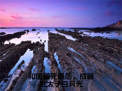 和闺蜜死遁后，成疯批太子白月光（江茯苓沈初）全文免费阅读无弹窗大结局_（和闺蜜死遁后，成疯批太子白月光）最新章节列表_笔趣阁