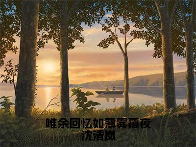 唯余回忆如薄雾覆夜沈清岚全网热搜（沈清岚）是什么小说，唯余回忆如薄雾覆夜沈清岚免费阅读无弹窗