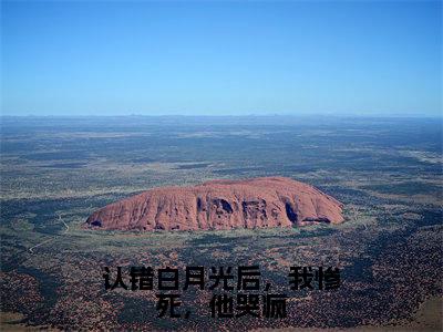 认错白月光后，我惨死，他哭疯（傅寒燚温媛）全文免费阅读无弹窗大结局_（认错白月光后，我惨死，他哭疯阅读全文大结局）傅寒燚温媛最新章节列表