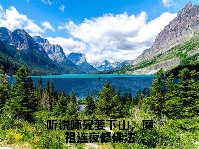 听说师兄要下山，魔祖连夜修佛法全文免费阅读无弹窗大结局_王慧天最新章节列表笔趣阁