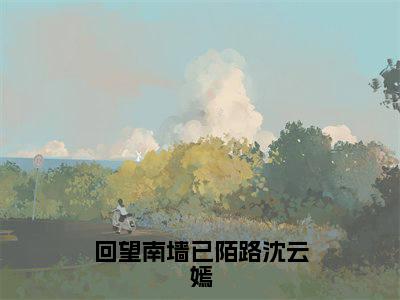 回望南墙已陌路沈云嫣（顾昭闻沈云嫣）全文免费阅读无弹窗大结局_顾昭闻沈云嫣免费最新章节列表_笔趣阁