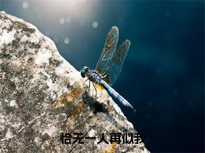 恰无一人再似我（付明嫣宋远舟）抖音热推小说全集无删减，付明嫣宋远舟小说在线免费阅读大结局