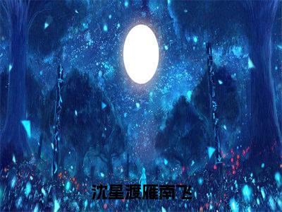 沈星渡雁南飞（沈星渡雁南飞）免费阅读完整版-（沈星渡雁南飞小说）沈星渡雁南飞全文大结局已完结